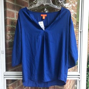 NWT blue tunic-style top